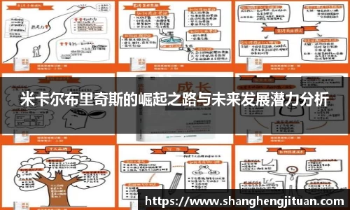 米卡尔布里奇斯的崛起之路与未来发展潜力分析